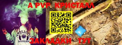 индика Канаш