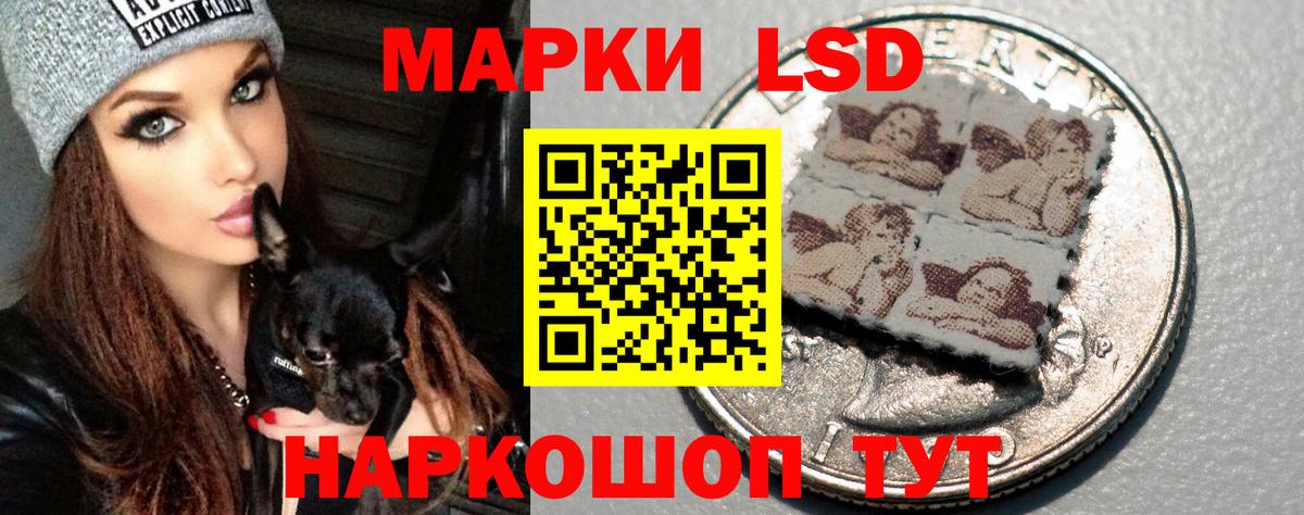 Лсд 25 экстази ecstasy  Вход с VPN  Людиново  Лсд 25 экстази ecstasy 
