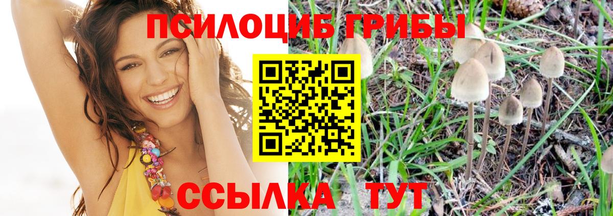 Канабис  COCAIN  Людиново  Вход с VPN  Меф   ЭКСТАЗИ 